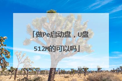 做Pe启动盘，U盘512M的可以吗