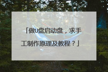 做U盘启动盘,求手工制作原理及教程?