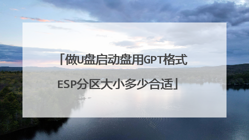 做U盘启动盘用GPT格式ESP分区大小多少合适