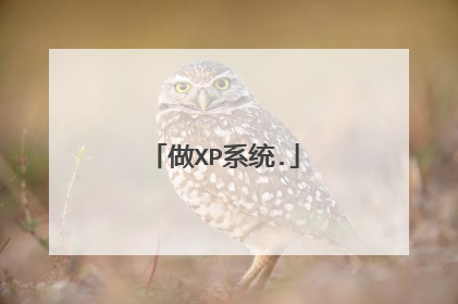 做XP系统.