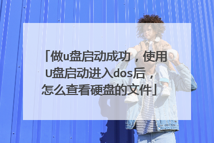 做u盘启动成功,使用U盘启动进入dos后,怎么查看硬盘的文件