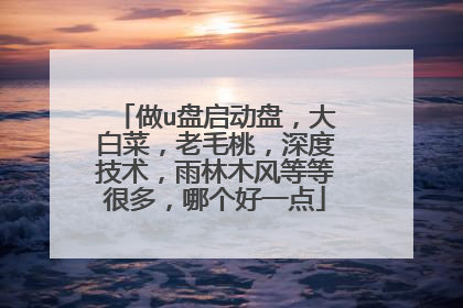 做u盘启动盘，大白菜，老毛桃，深度技术，雨林木风等等很多，哪个好一点