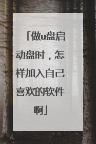 做u盘启动盘时,怎样加入自己喜欢的软件啊