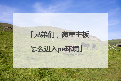 兄弟们，微星主板怎么进入pe环境