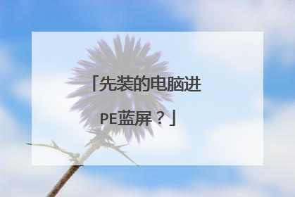 先装的电脑进PE蓝屏？