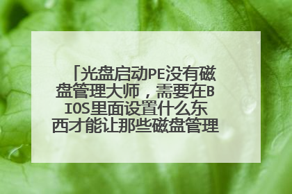 光盘启动PE没有磁盘管理大师,需要在BIOS里面设置什么东西才能让那些磁盘管理大师,磁盘医生等工具显示出来