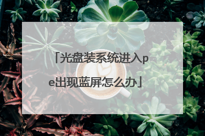 光盘装系统进入pe出现蓝屏怎么办