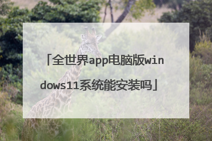 全世界app电脑版windows11系统能安装吗