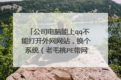 公司电脑能上qq不能打开外网网站，换个系统（老毛桃PE带网络功能）就能打开外网!怎么搞啊？