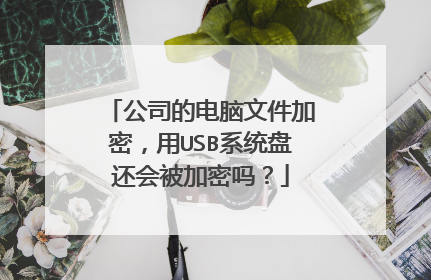 公司的电脑文件加密，用USB系统盘还会被加密吗？
