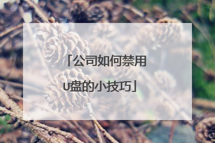 公司如何禁用U盘的小技巧