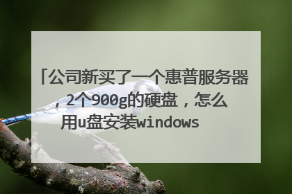 公司新买了一个惠普服务器,2个900g的硬盘,怎么用u盘安装windows 2008 r2呀?