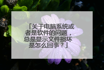 关于电脑系统或者是软件的问题，总是显示文件损坏是怎么回事？
