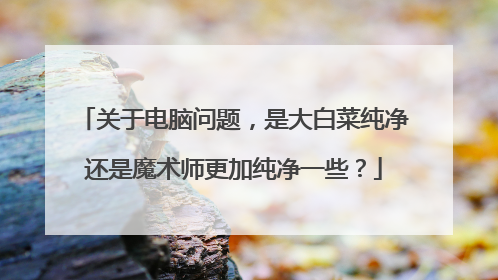 关于电脑问题,是大白菜纯净还是魔术师更加纯净一些?