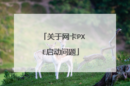 关于网卡PXE启动问题