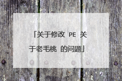 关于修改 PE 关于老毛桃 的问题