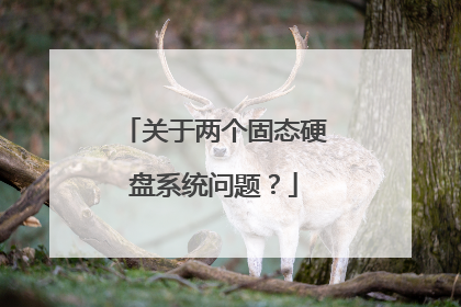 关于两个固态硬盘系统问题?