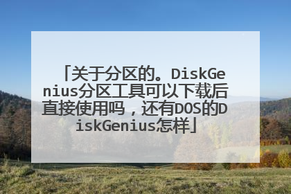 关于分区的。DiskGenius分区工具可以下载后直接使用吗,还有DOS的DiskGenius怎样