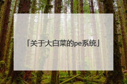 关于大白菜的pe系统