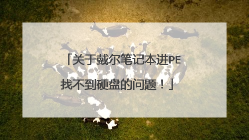 关于戴尔笔记本进PE找不到硬盘的问题!