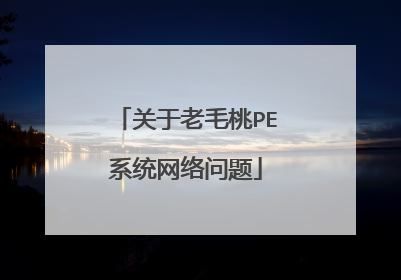 关于老毛桃PE系统网络问题