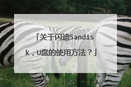 关于闪迪Sandisk,U盘的使用方法?