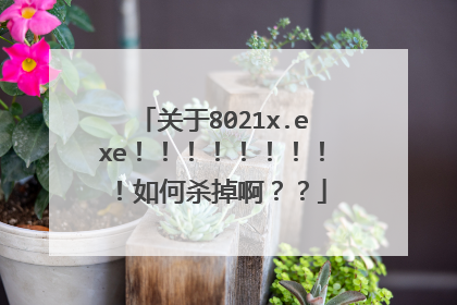 关于8021x.exe!!!!!!!!!如何杀掉啊??