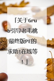 关于Grub引导老毛桃最终版PE的求助!在线等!