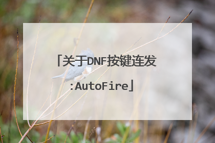 关于DNF按键连发:AutoFire