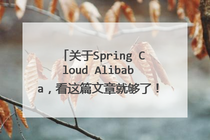 关于Spring Cloud Alibaba,看这篇文章就够了!(附教程资料)