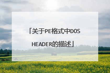 关于PE格式中DOS HEADER的描述
