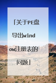 关于PE盘导出window注册表的问题