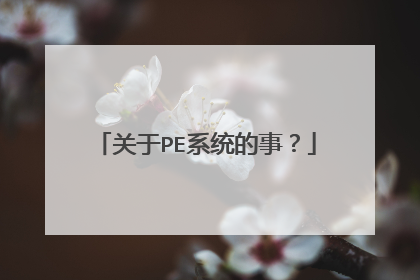 关于PE系统的事?