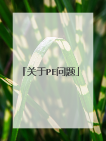 关于PE问题