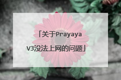 关于PrayayaV3没法上网的问题