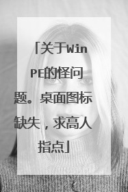 关于Win PE的怪问题。桌面图标缺失，求高人指点