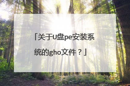 关于U盘pe安装系统的gho文件?