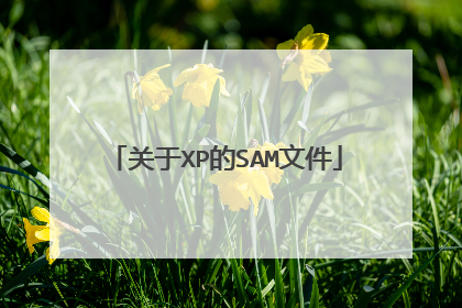 关于XP的SAM文件