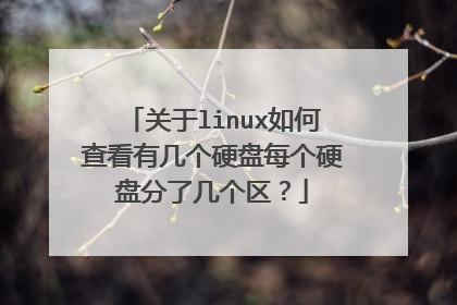 关于linux如何查看有几个硬盘每个硬盘分了几个区?