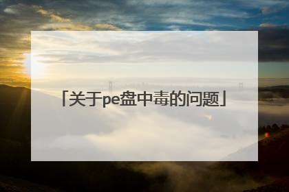 关于pe盘中毒的问题