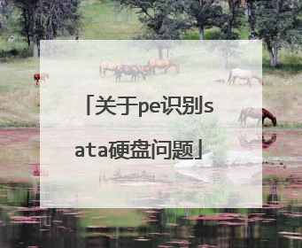 关于pe识别sata硬盘问题