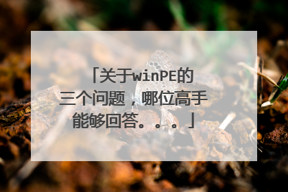 关于winPE的三个问题,哪位高手能够回答。。。