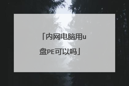 内网电脑用u盘PE可以吗