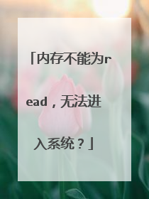 内存不能为read,无法进入系统?