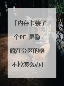 内存卡装了个PE 是隐藏在分区的格不掉怎么办