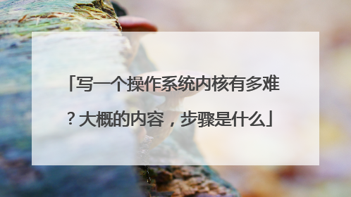 写一个操作系统内核有多难?大概的内容,步骤是什么