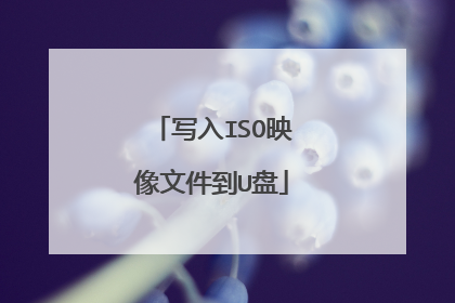 写入ISO映像文件到U盘