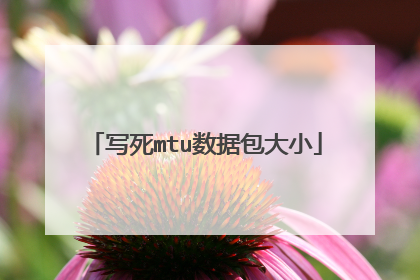 写死mtu数据包大小
