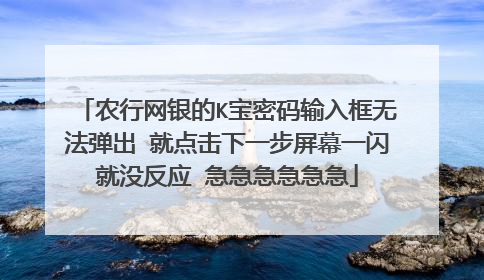 农行网银的K宝密码输入框无法弹出 就点击下一步屏幕一闪就没反应 急急急急急急