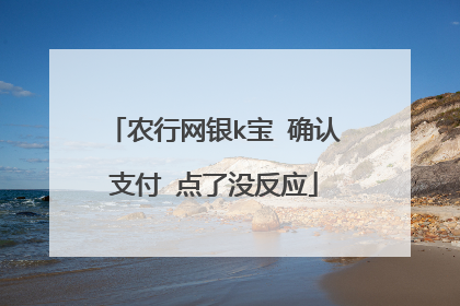 农行网银k宝 确认支付 点了没反应